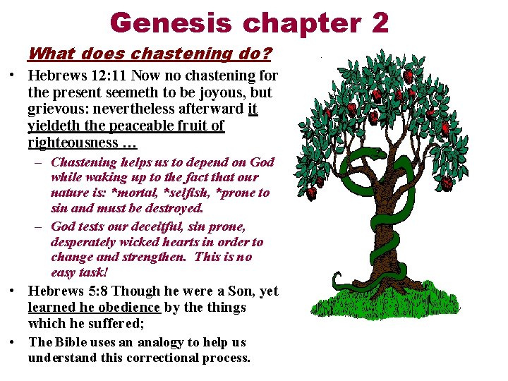 Genesis chapter 2 What does chastening do? • Hebrews 12: 11 Now no chastening