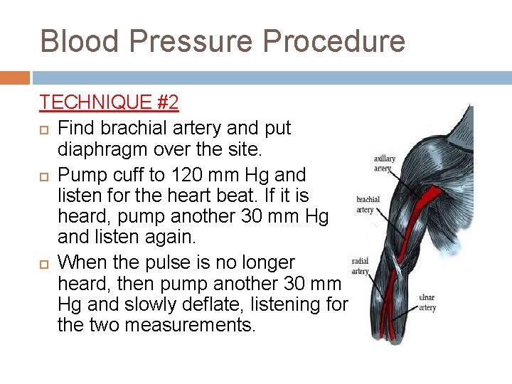 Blood Pressure Procedure TECHNIQUE #2 Find brachial artery and put diaphragm over the site.
