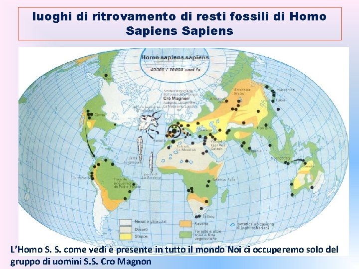 luoghi di ritrovamento di resti fossili di Homo Sapiens L’Homo S. S. come vedi