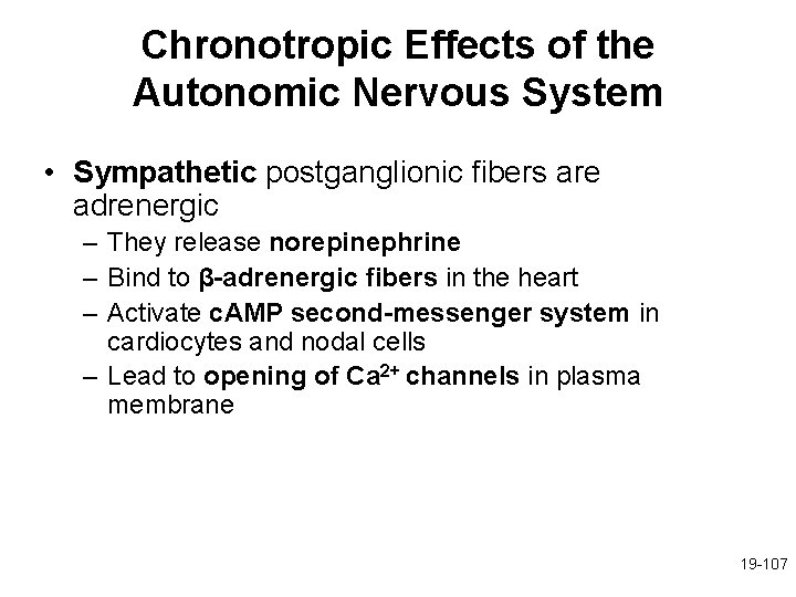 Chronotropic Effects of the Autonomic Nervous System • Sympathetic postganglionic fibers are adrenergic –