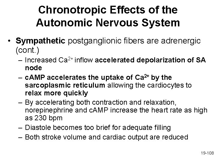 Chronotropic Effects of the Autonomic Nervous System • Sympathetic postganglionic fibers are adrenergic (cont.