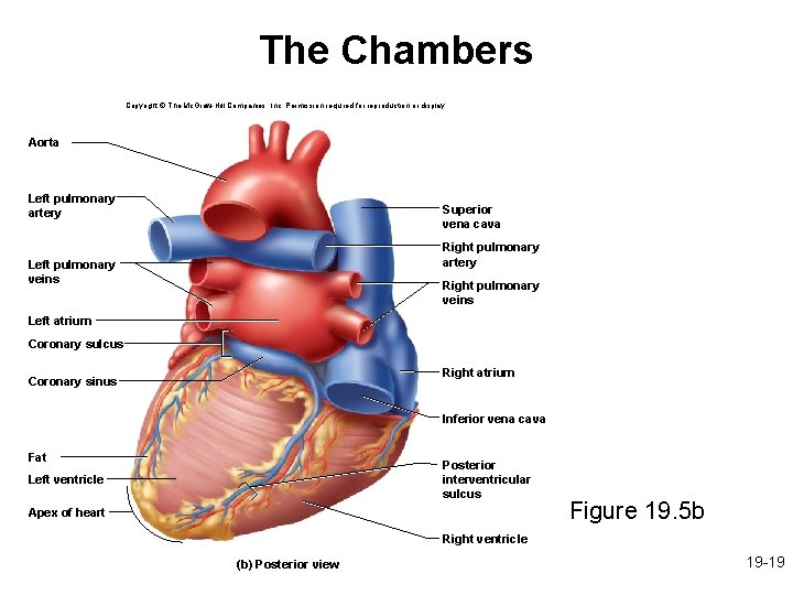 The Chambers Copyright © The Mc. Graw-Hill Companies, Inc. Permission required for reproduction or