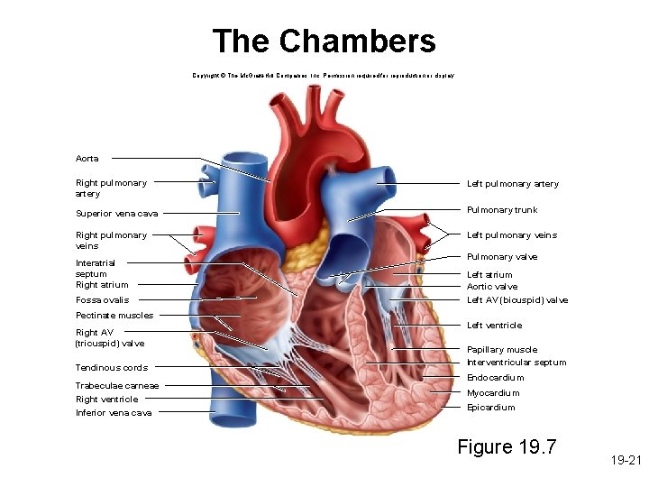 The Chambers Copyright © The Mc. Graw-Hill Companies, Inc. Permission required for reproduction or
