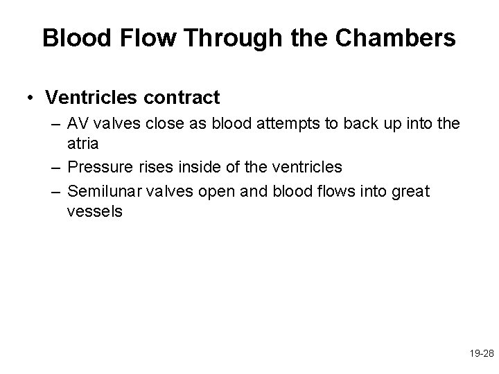 Blood Flow Through the Chambers • Ventricles contract – AV valves close as blood