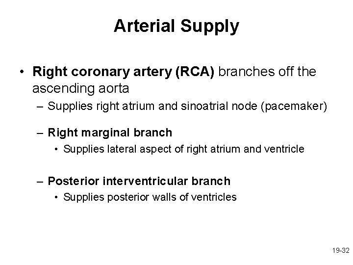 Arterial Supply • Right coronary artery (RCA) branches off the ascending aorta – Supplies