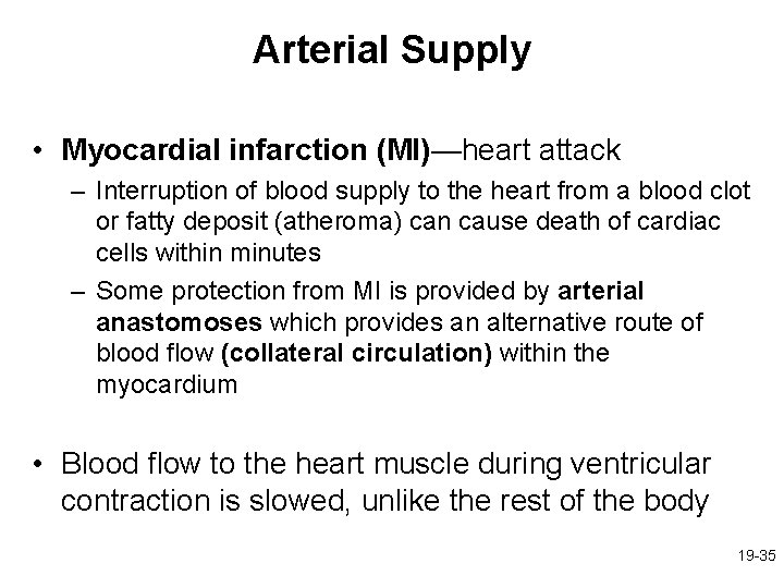 Arterial Supply • Myocardial infarction (MI)—heart attack – Interruption of blood supply to the