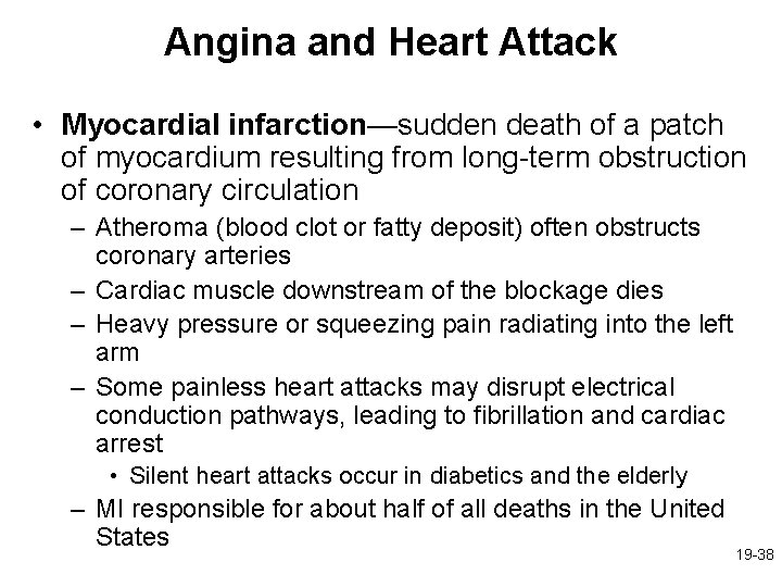 Angina and Heart Attack • Myocardial infarction—sudden death of a patch of myocardium resulting