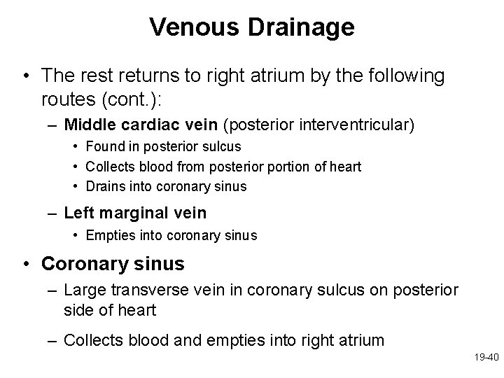 Venous Drainage • The rest returns to right atrium by the following routes (cont.