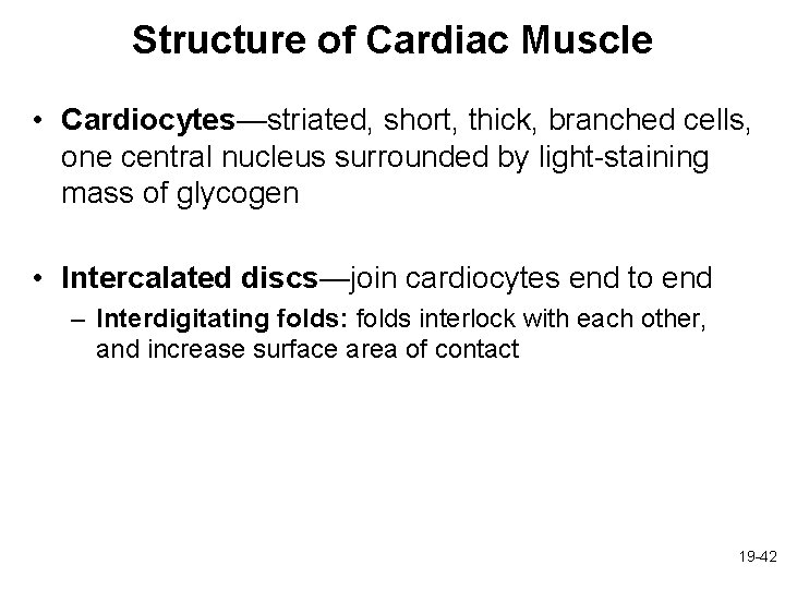 Structure of Cardiac Muscle • Cardiocytes—striated, short, thick, branched cells, one central nucleus surrounded