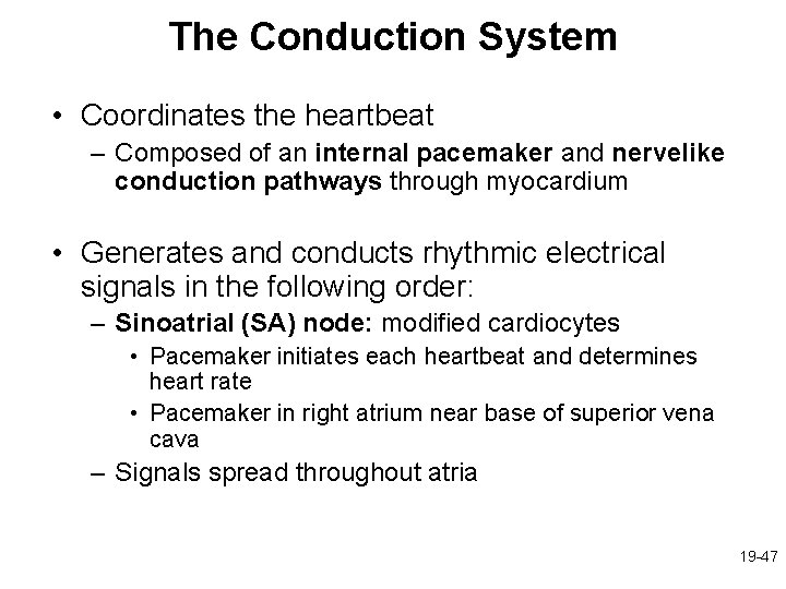 The Conduction System • Coordinates the heartbeat – Composed of an internal pacemaker and