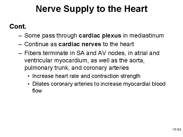 Nerve Supply to the Heart Cont. – Some pass through cardiac plexus in mediastinum