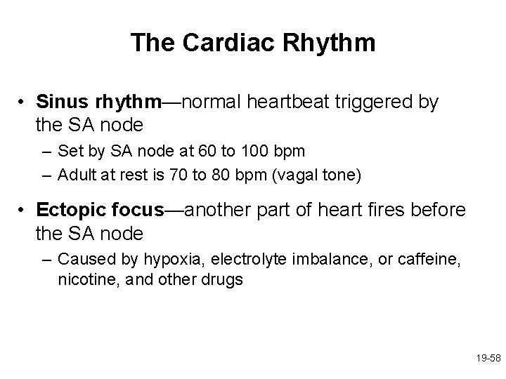 The Cardiac Rhythm • Sinus rhythm—normal heartbeat triggered by the SA node – Set