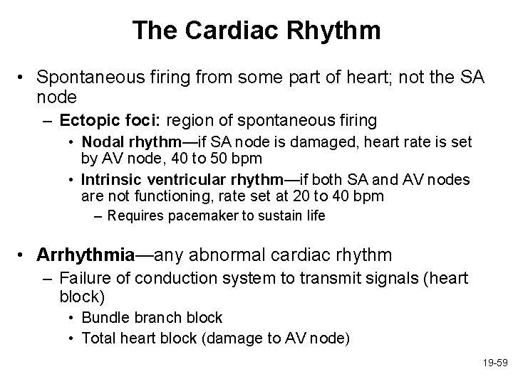 The Cardiac Rhythm • Spontaneous firing from some part of heart; not the SA