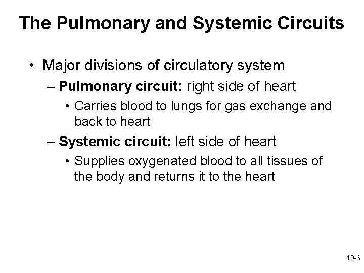 The Pulmonary and Systemic Circuits • Major divisions of circulatory system – Pulmonary circuit: