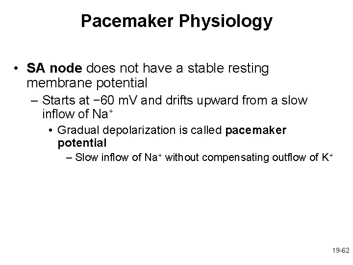 Pacemaker Physiology • SA node does not have a stable resting membrane potential –