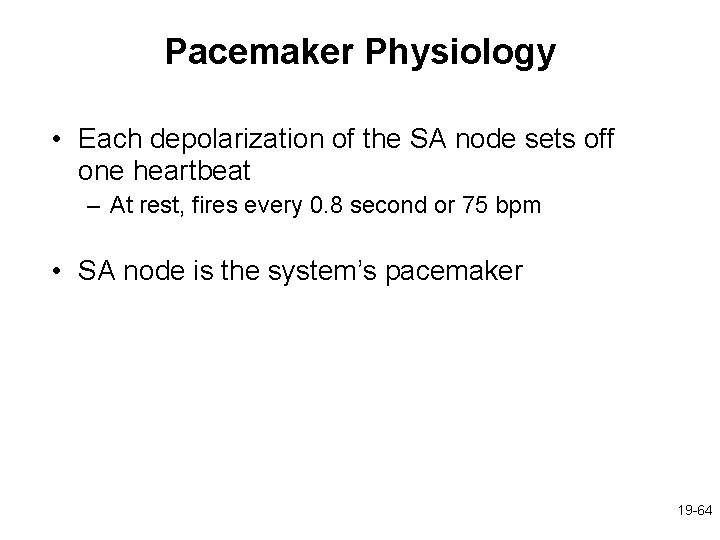 Pacemaker Physiology • Each depolarization of the SA node sets off one heartbeat –