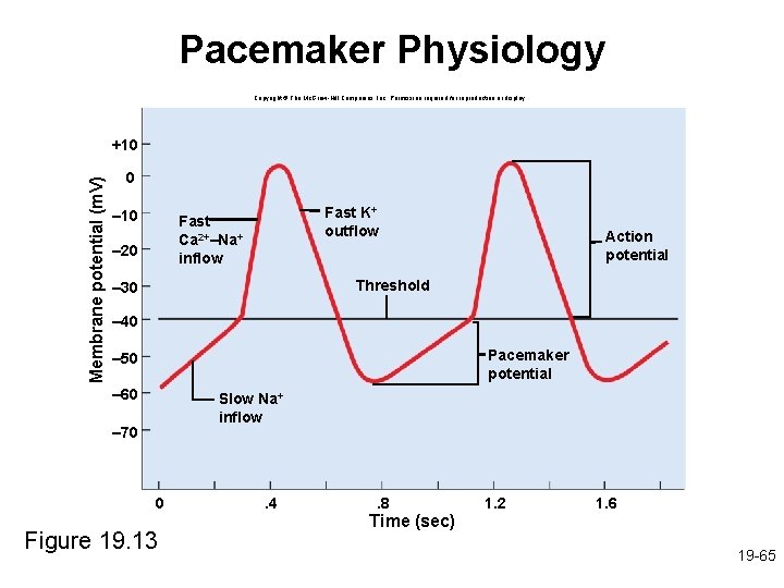 Pacemaker Physiology Copyright © The Mc. Graw-Hill Companies, Inc. Permission required for reproduction or