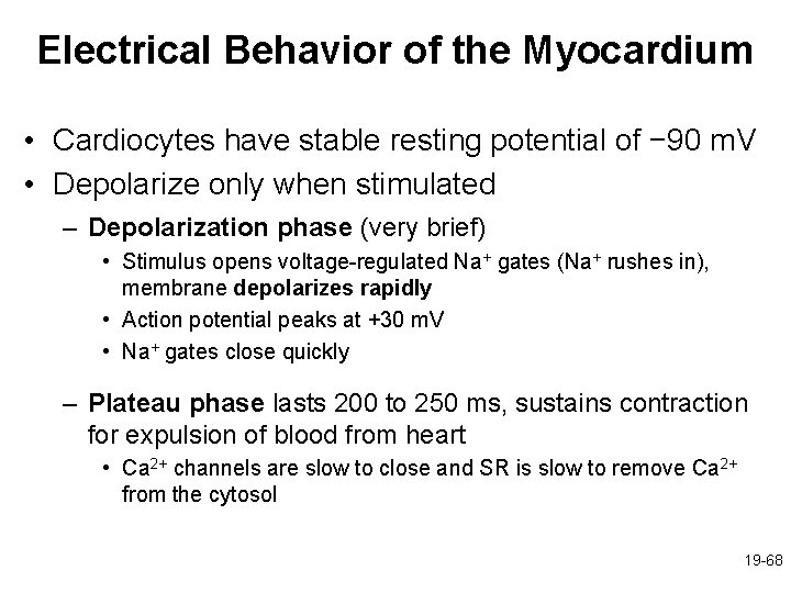 Electrical Behavior of the Myocardium • Cardiocytes have stable resting potential of − 90