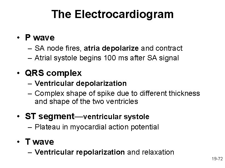 The Electrocardiogram • P wave – SA node fires, atria depolarize and contract –