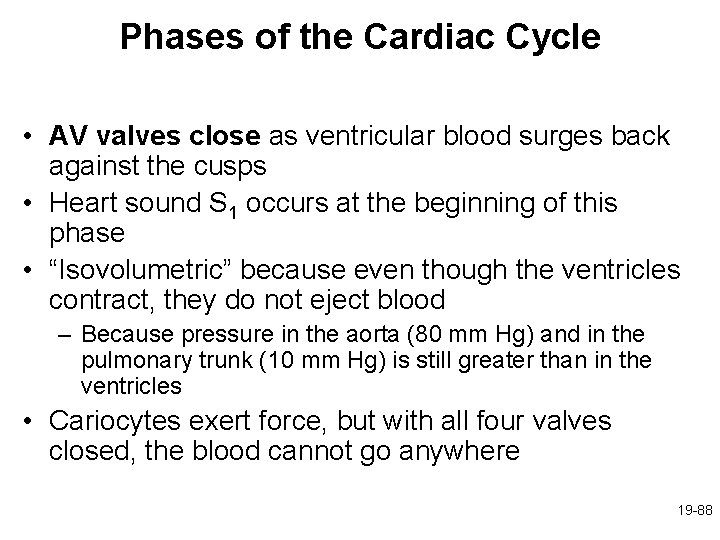 Phases of the Cardiac Cycle • AV valves close as ventricular blood surges back