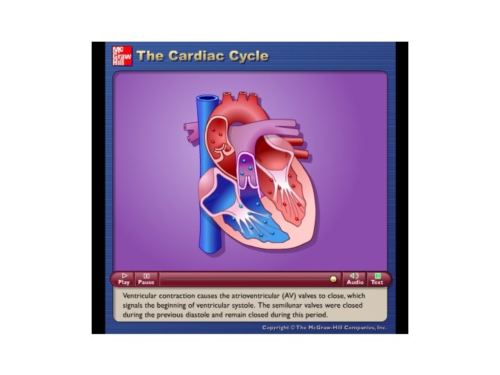 Please note that due to differing operating systems, some animations will not appear until