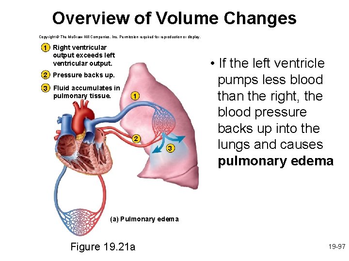 Overview of Volume Changes Copyright © The Mc. Graw-Hill Companies, Inc. Permission required for