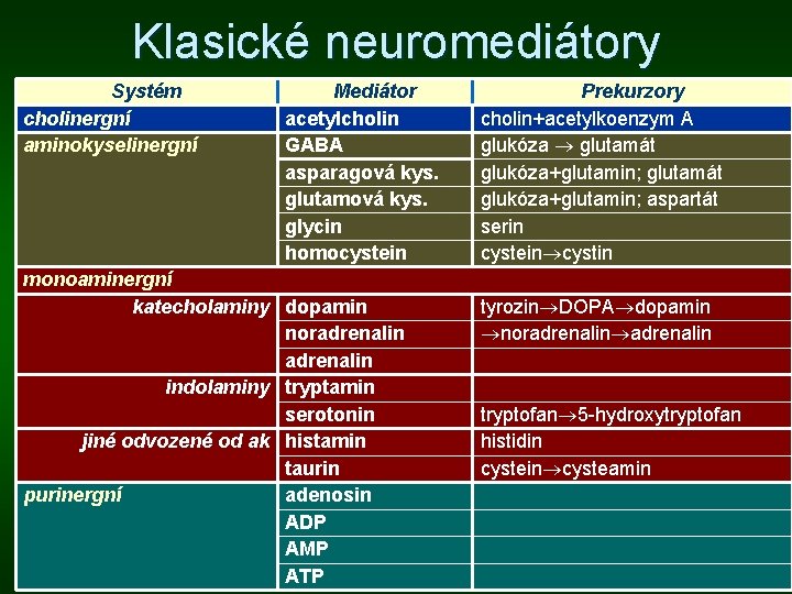 Klasické neuromediátory Systém cholinergní aminokyselinergní Mediátor acetylcholin GABA asparagová kys. glutamová kys. glycin homocystein