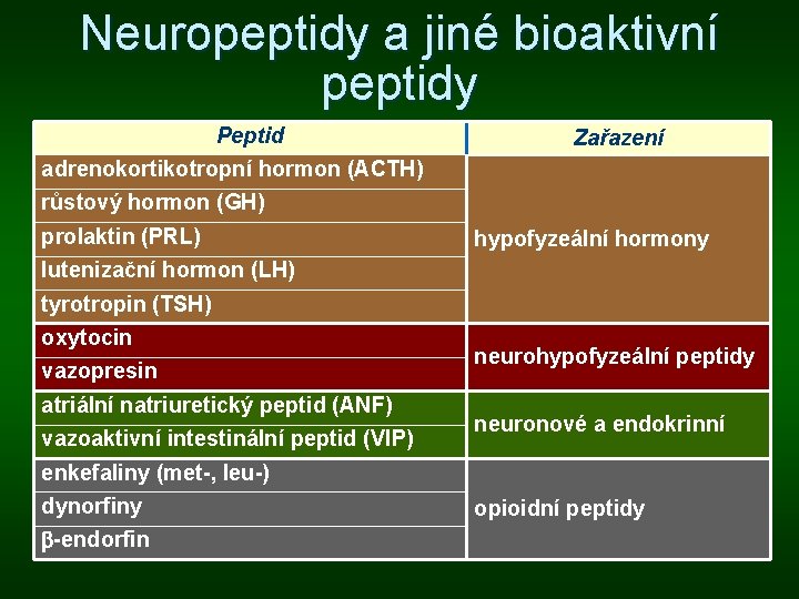 Neuropeptidy a jiné bioaktivní peptidy Peptid Zařazení adrenokortikotropní hormon (ACTH) růstový hormon (GH) prolaktin