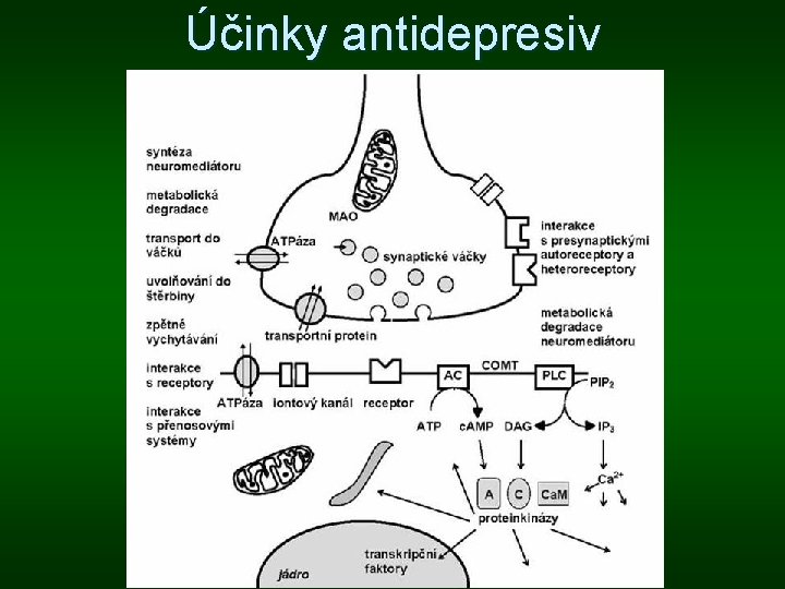 Účinky antidepresiv 