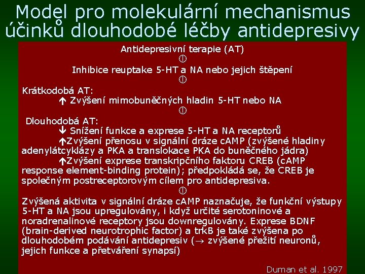 Model pro molekulární mechanismus účinků dlouhodobé léčby antidepresivy Antidepresivní terapie (AT) Inhibice reuptake 5