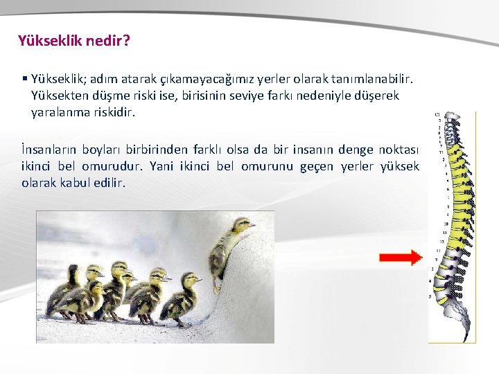 Yükseklik nedir? § Yükseklik; adım atarak çıkamayacağımız yerler olarak tanımlanabilir. Yüksekten düşme riski ise,