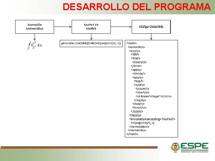 DESARROLLO DEL PROGRAMA 