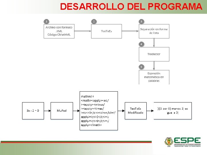 DESARROLLO DEL PROGRAMA 