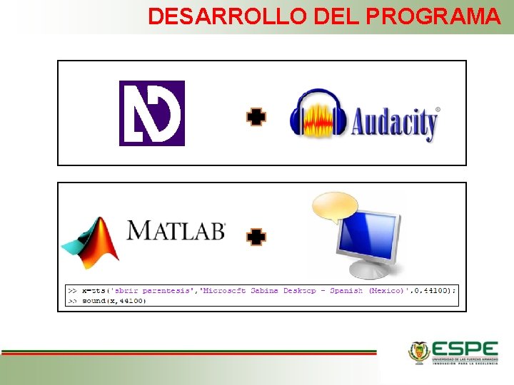 DESARROLLO DEL PROGRAMA 