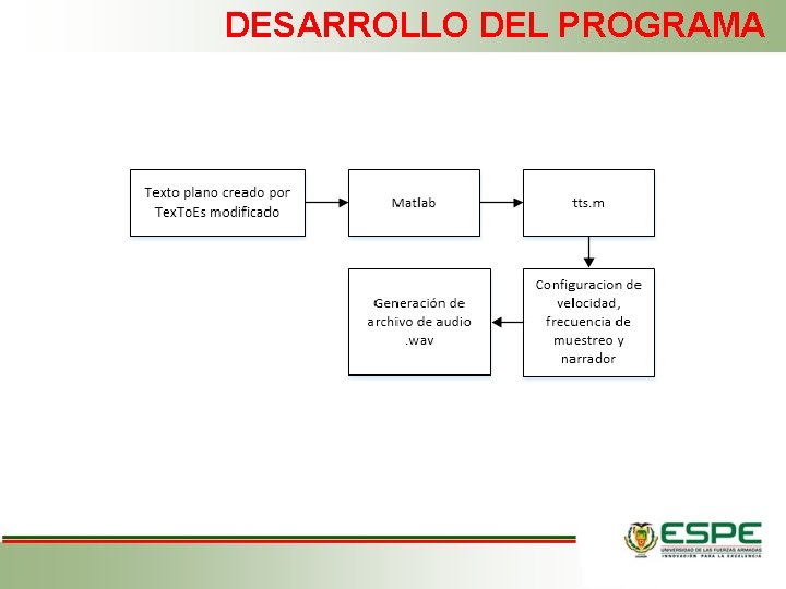 DESARROLLO DEL PROGRAMA 