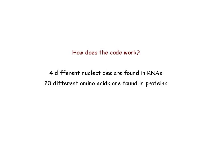 How does the code work? 4 different nucleotides are found in RNAs 20 different
