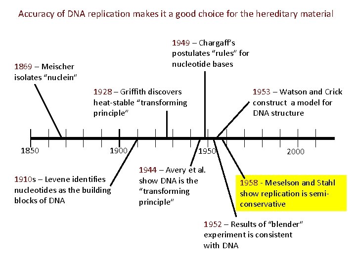 Accuracy of DNA replication makes it a good choice for the hereditary material 1949