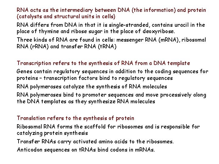 RNA acts as the intermediary between DNA (the information) and protein (catalysts and structural