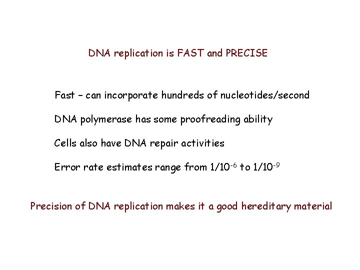 DNA replication is FAST and PRECISE Fast – can incorporate hundreds of nucleotides/second DNA