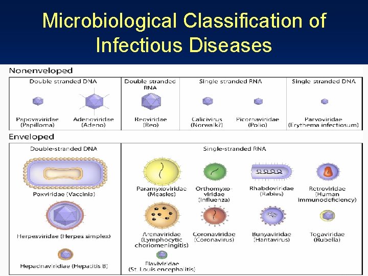Microbiological Classification of Infectious Diseases 