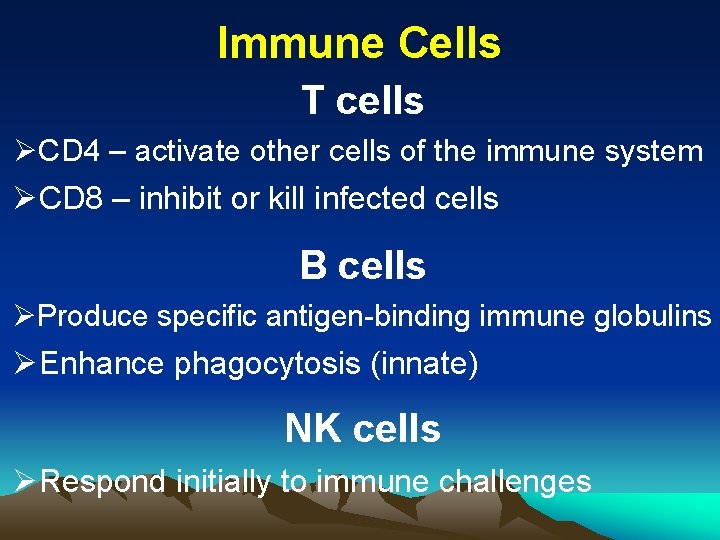 Immune Cells T cells ØCD 4 – activate other cells of the immune system