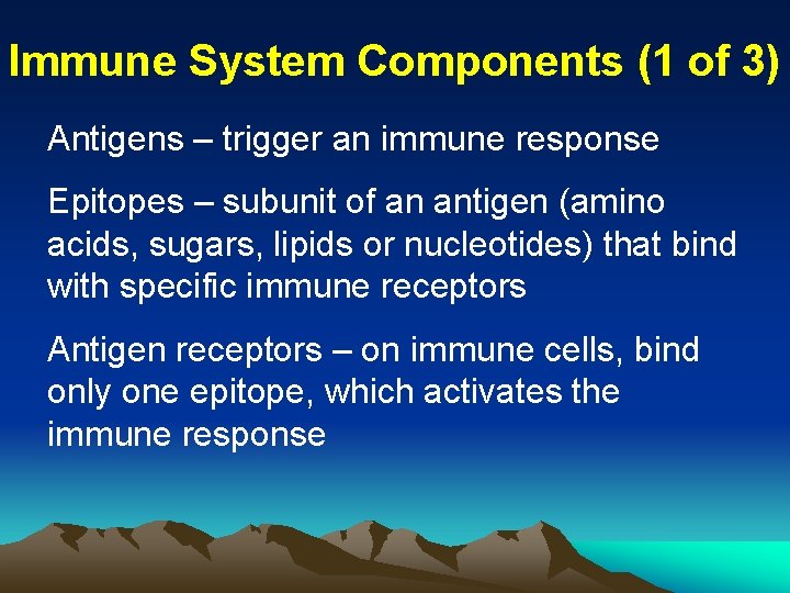 Immune System Components (1 of 3) Antigens – trigger an immune response Epitopes –
