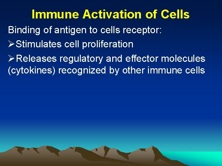 Immune Activation of Cells Binding of antigen to cells receptor: ØStimulates cell proliferation ØReleases