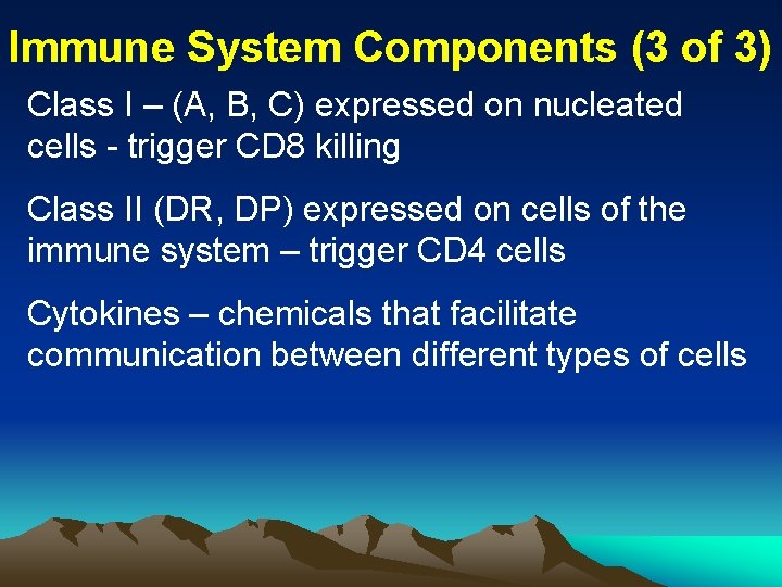 Immune System Components (3 of 3) Class I – (A, B, C) expressed on