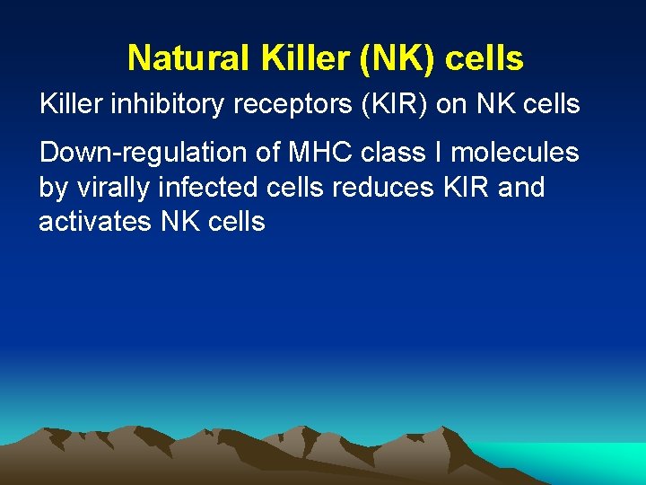 Natural Killer (NK) cells Killer inhibitory receptors (KIR) on NK cells Down-regulation of MHC