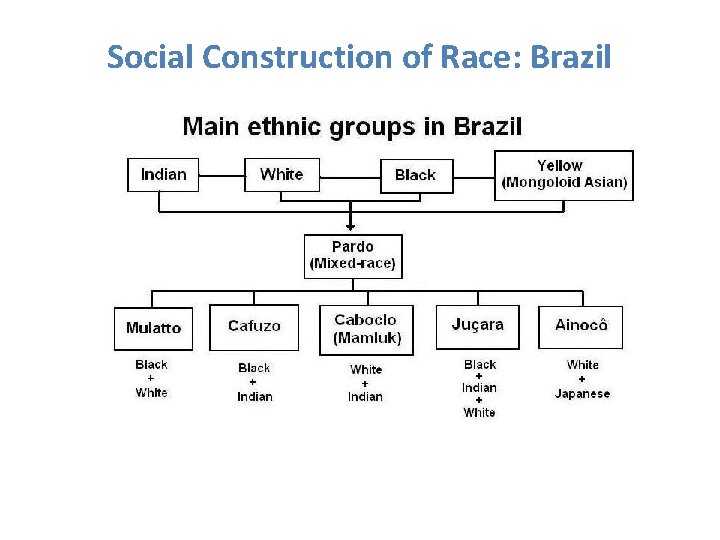 Social Construction of Race: Brazil 