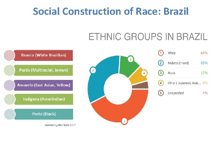 Social Construction of Race: Brazil 