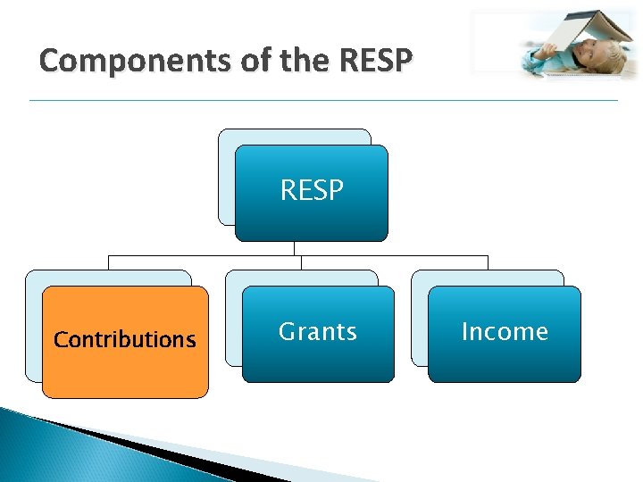 Components of the RESP Contributions Grants Income 