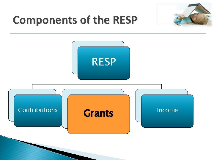 Components of the RESP Contributions Grants Income 