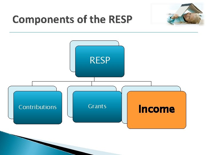 Components of the RESP Contributions Grants Income 